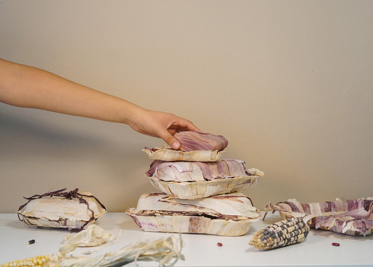 5 Designers Explore the Possibilities of Biomaterials in Mexico, © Almendra Isabel